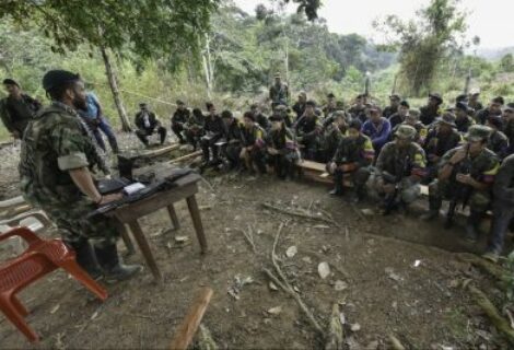 Grupo de control dice "no hay indicios" de prostitución en campamento de FARC
