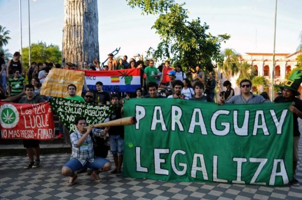 Paraguay, mayor productor de marihuana de la región, debate su uso medicinal