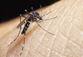 Zika termina 2016 en América con retos de transmisión sexual y males conexos
