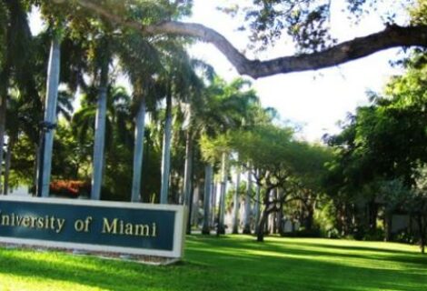 Universidad de Miami realza importancia de las "habilidades transversales"