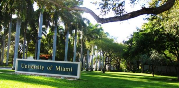 Universidad de Miami realza importancia de las «habilidades transversales»