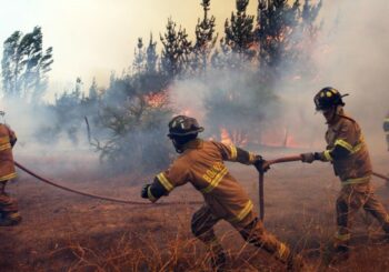 Bachelet destaca avance en el combate contra incendios forestales en Chile