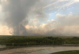 Incendio forestal consume 32.000 hectáreas de arbustos en los Everglades