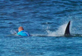 Nuevo ataque de tiburón en una playa de Florida, el tercero en 72 horas