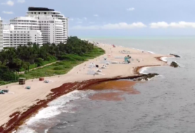 Comienza limpieza de alga del sargazo en playas turísticas de Miami Beach