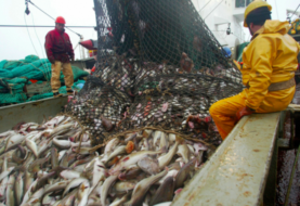 EEUU ratifica el acuerdo de pesca en el océano ártico central