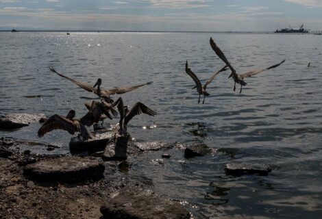 Lago de Maracaibo es una bomba de tiempo