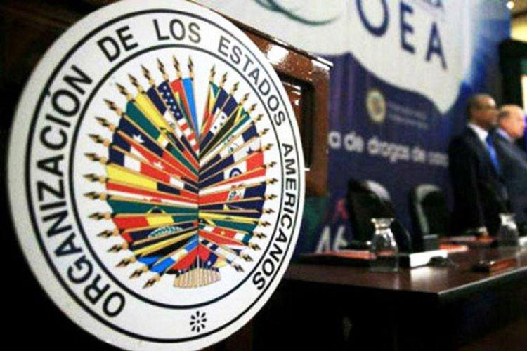 Tres candidatos tras la Secretaría General de la OEA