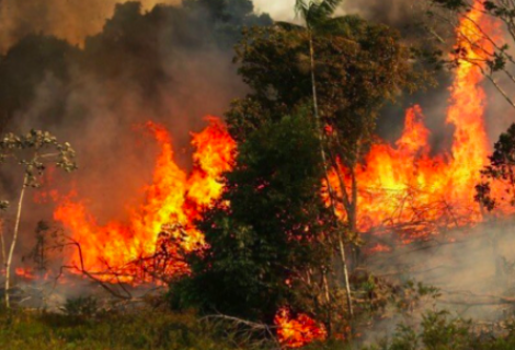 Incendios en la Amazonía brasileña crecieron un 30 % en 2019