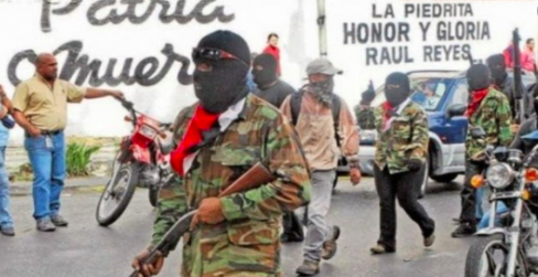 Grupos armados irregulares merman poder al Estado venezolano