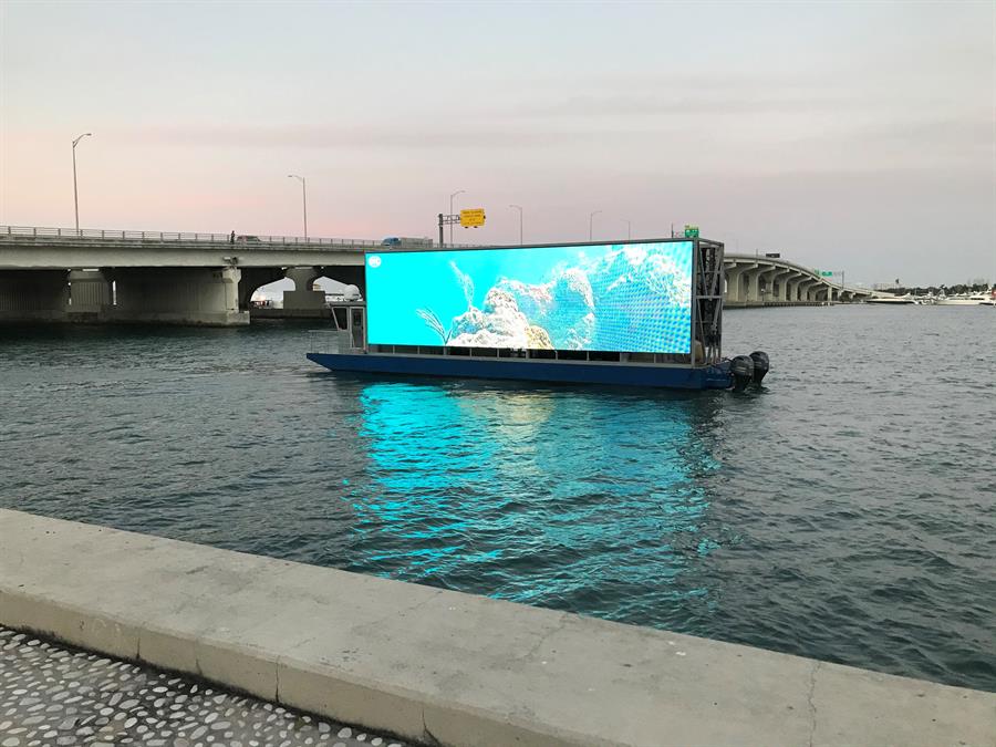 Una webcam destapa los secretos de los corales urbanos de Miami
