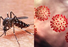 Tragedia en América entre el coronavirus y dengue