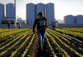 Coalición en Florida pide apoyar también a los agricultores
