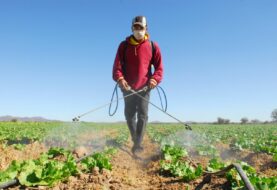 EEUU flexibiliza contratación de obreros con visado agrícola por coronavirus