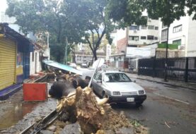 Luvias con fuertes vientos causan estragos en Caracas