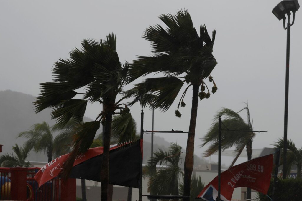 Marco debilitado a tormenta se acerca a Luisiana, mientras Laura barrerá Cuba