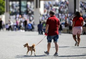 Matar mascotas sin motivo puede llevar a prisión en Portugal