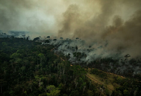 Greenpeace despliega pancarta contra deforestación Amazonía en sede de CE
