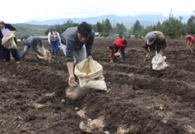Perú advierte sobre posible crisis alimentaria