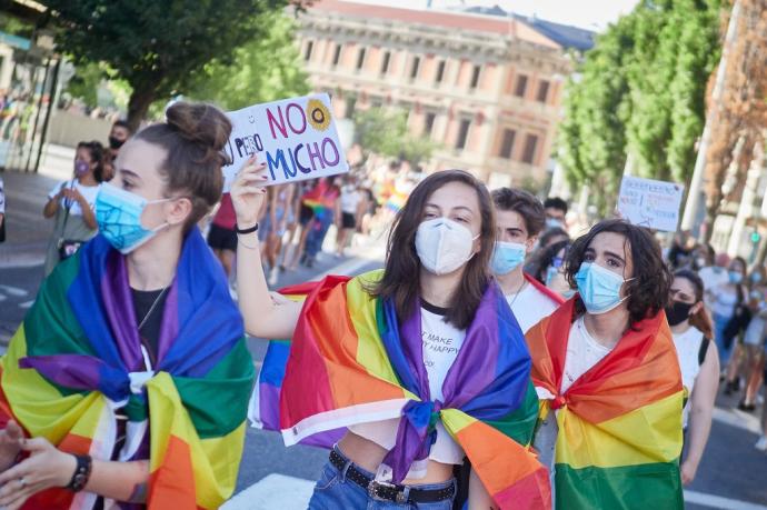 Colectivo LGBTI vivió un 2020 de avances y retrocesos por la pandemia