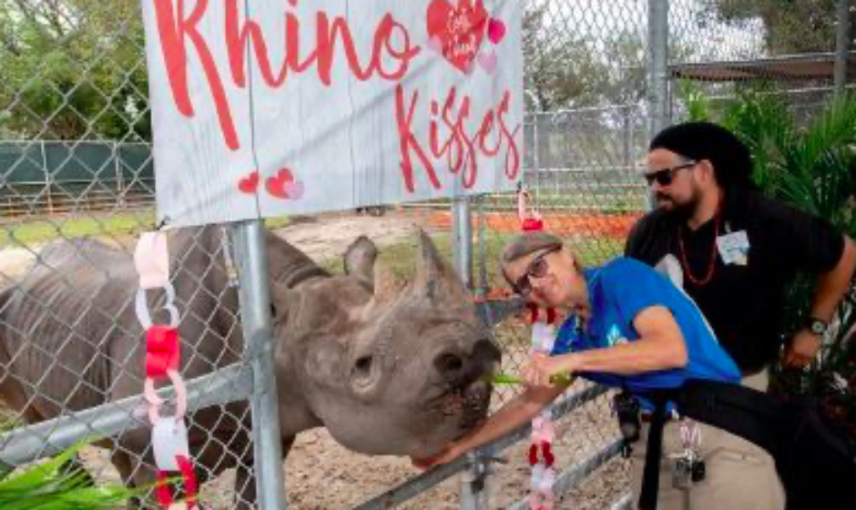 Muere rinoceronte negro del zoológico de Miami el más adulto de Norteamérica