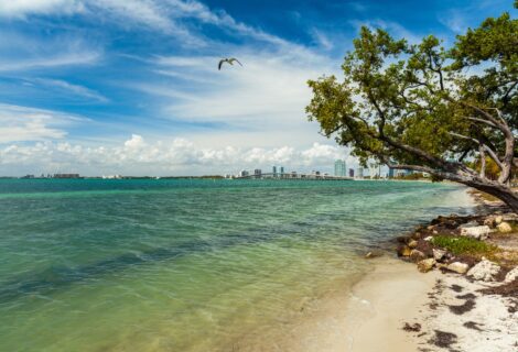 Virginia Key, una playa de Miami símbolo de la lucha por los derechos civiles