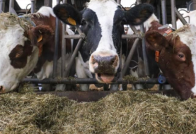 UE y EE.UU. logran un acuerdo para ajustar cuotas agrícolas tras el Brexit
