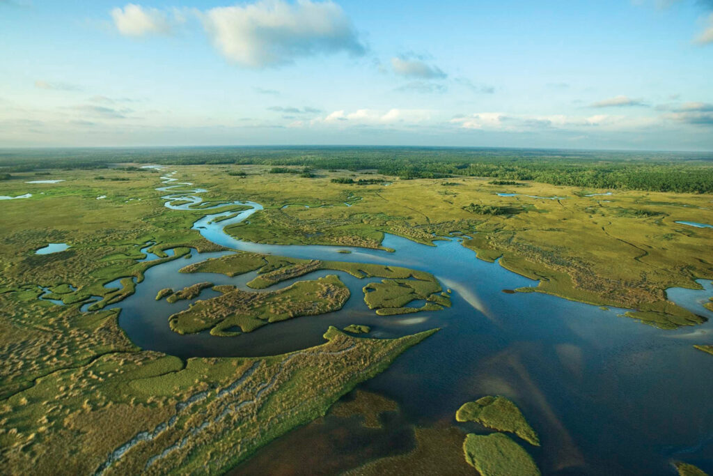 DeSantis construirá embalse para proteger los Everglades