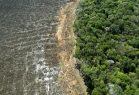 Amazonía brasileña rompe récord de deforestación