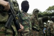 Las FARC liberan a dos soldados en Nariño