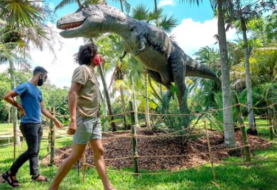 Botánico Fairchild de Miami es un jardín jurásico poblado de dinosaurios