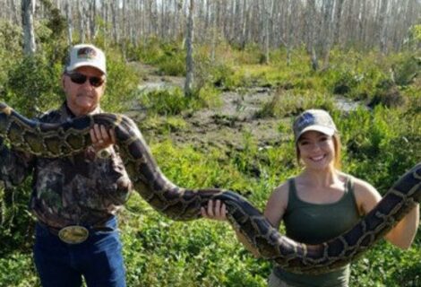 Autoridades dan comienzo a el "Florida Python Challenge"