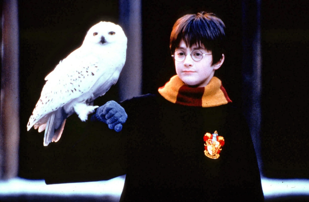 Harry Potter: 20 años de magia cinematográfica