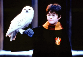 Harry Potter: 20 años de magia cinematográfica