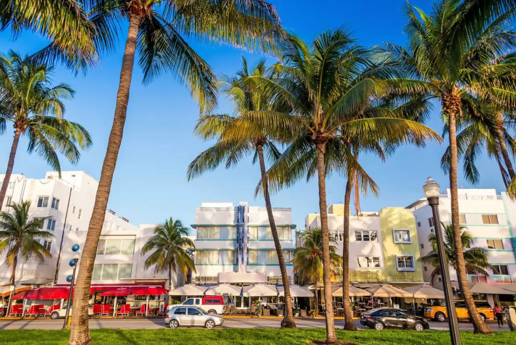 Alerta en Miami por la «lluvia» de iguanas que se avecina