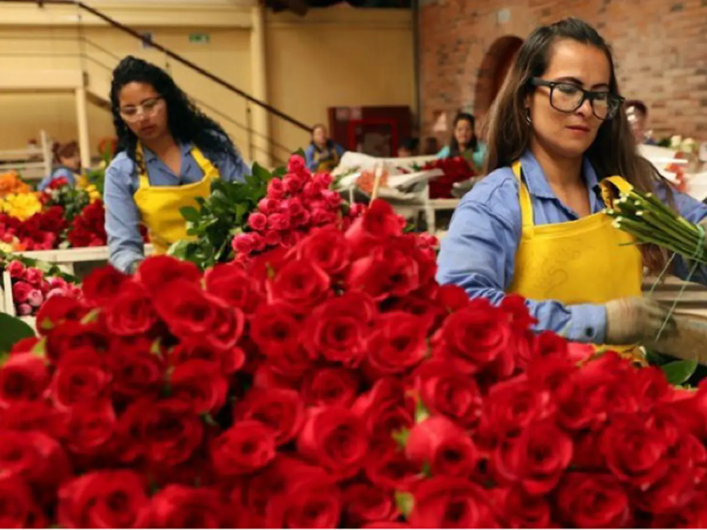 Envío de flores por San Valentín crecería 30 %: Fedex Express