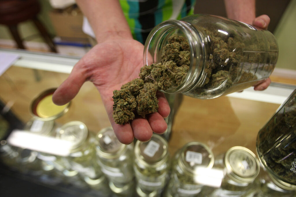 ¿Cannabis medicinal? El sur de Florida tiene dos opciones