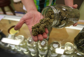 ¿Cannabis medicinal? El sur de Florida tiene dos opciones