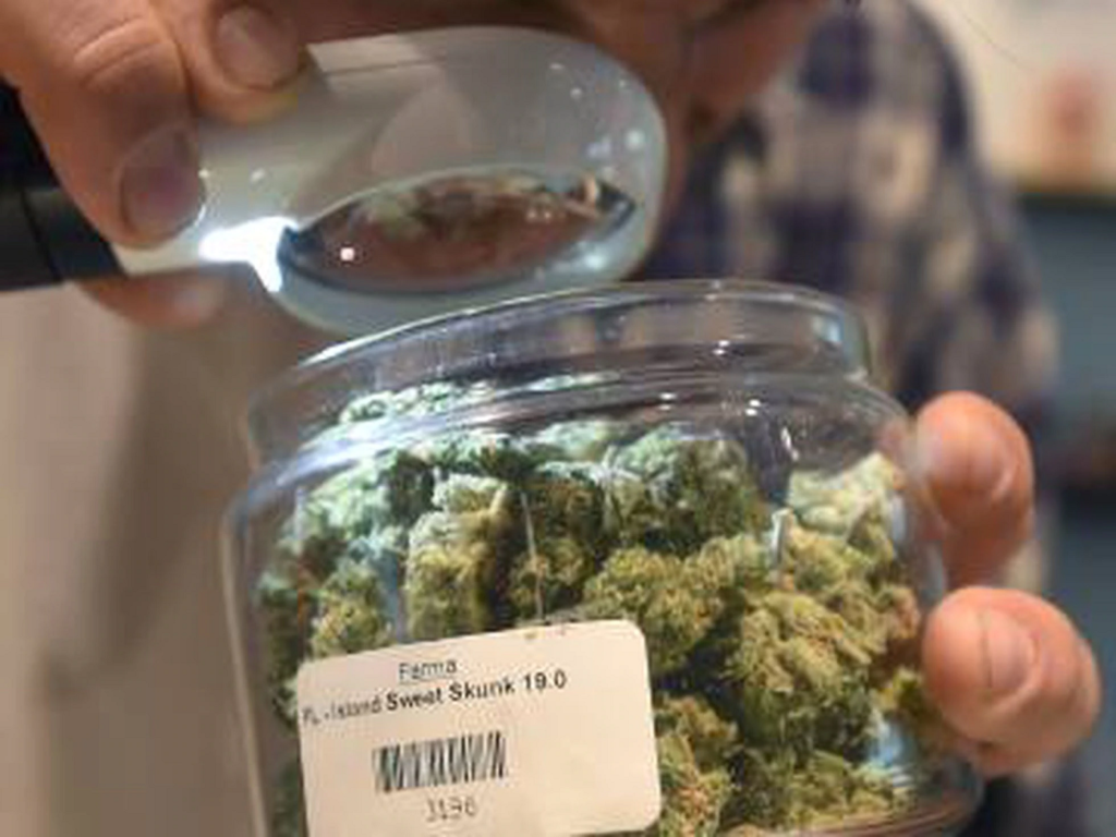 Miami permitirá abrir dispensario de marihuana medicinal