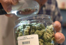 Miami permitirá abrir dispensario de marihuana medicinal
