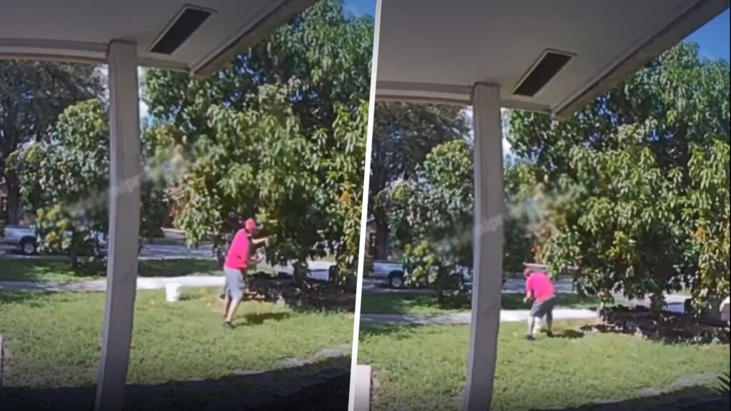 Hombre es captado en video robando mangos en Miami
