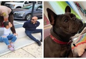 Pareja de Miami es acusada de robar una perra French Bulldog en los Cayos y exigir dinero por devolverla