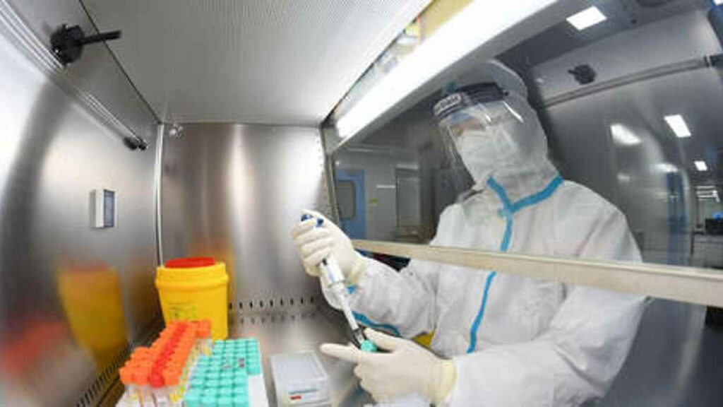 Crean una nueva cepa del coronavirus que causa un 80% de mortalidad en ratones