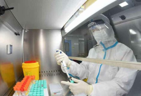 Crean una nueva cepa del coronavirus que causa un 80% de mortalidad en ratones