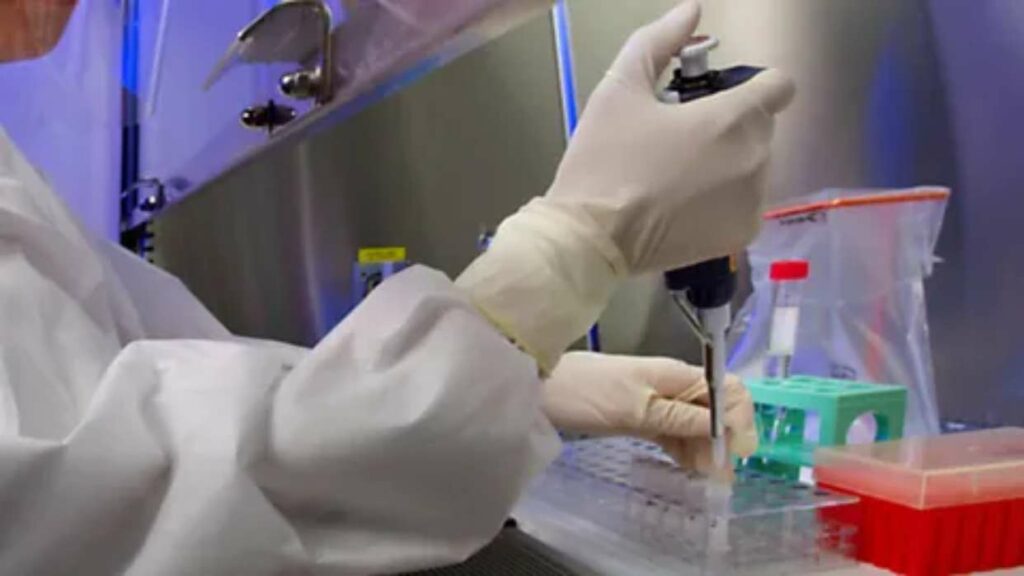 Un tercer enfermo de VIH logra curarse tras un trasplante de células madre