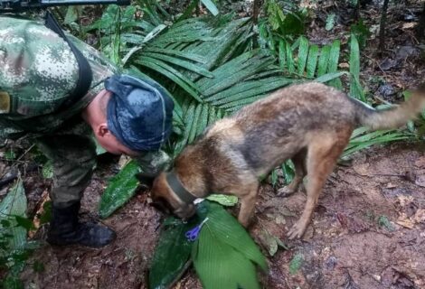 Encuentran con vida a cuatro niños luego de estar 17 días perdidos en la selva colombiana