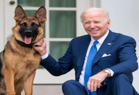 Perro de Biden muerde a agente de servicio secreto