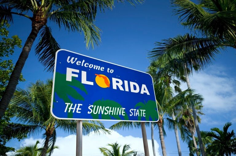 Bajas temperaturas azotan a Florida