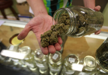 ¿Cannabis medicinal? El sur de Florida tiene dos opciones