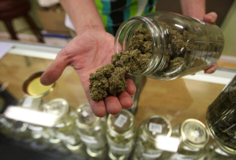 ¿Cannabis medicinal? El sur de Florida tiene dos opciones